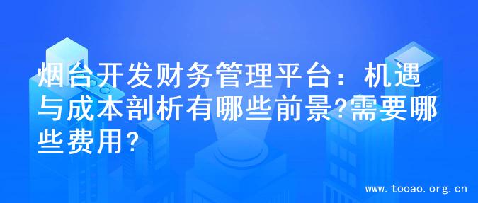 烟台开发财务管理平台：机遇与成本剖析有哪些前景?需要哪些费用?