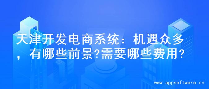 天津开发电商系统：机遇众多，有哪些前景?需要哪些费用?