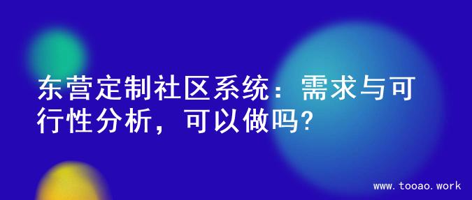 东营定制社区系统：需求与可行性分析，可以做吗?