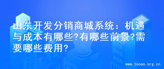 山东开发分销商城系统：机遇与成本有哪些?有哪些前景?需要哪些费用?