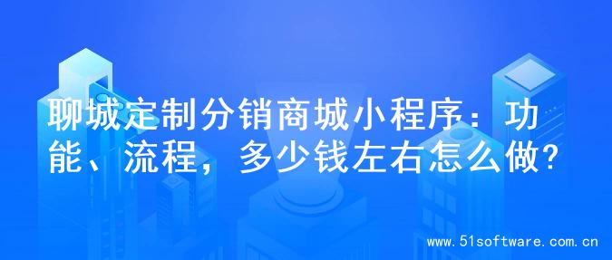 聊城定制分销商城小程序：功能、流程，多少钱左右怎么做?