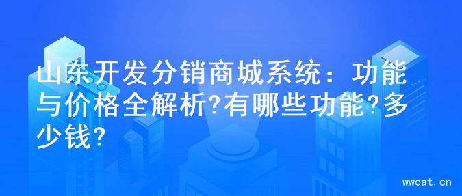 山东开发分销商城系统：功能与价格全解析?有哪些功能?多少钱?