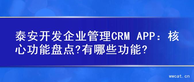 泰安开发企业管理CRM APP：核心功能盘点?有哪些功能?