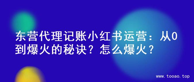 东营代理记账小红书运营：从0到爆火的秘诀？怎么爆火？