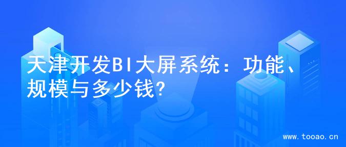 天津开发BI大屏系统：功能、规模与多少钱?