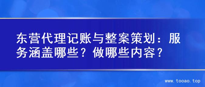 东营代理记账与整案策划：服务涵盖哪些？做哪些内容？