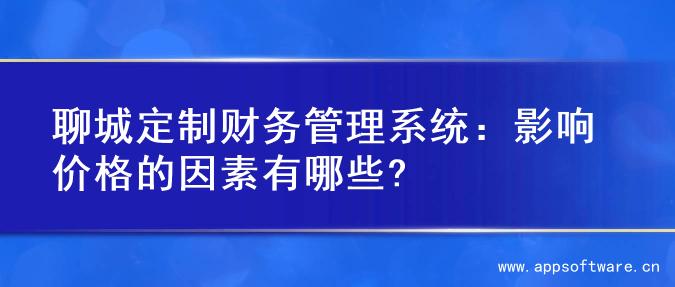 聊城定制财务管理系统：影响价格的因素有哪些?