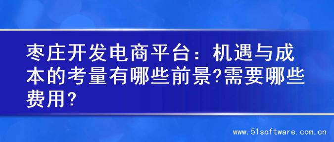 枣庄开发电商平台：机遇与成本的考量有哪些前景?需要哪些费用?