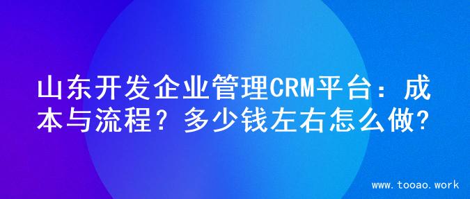 山东开发企业管理CRM平台：成本与流程？多少钱左右怎么做?