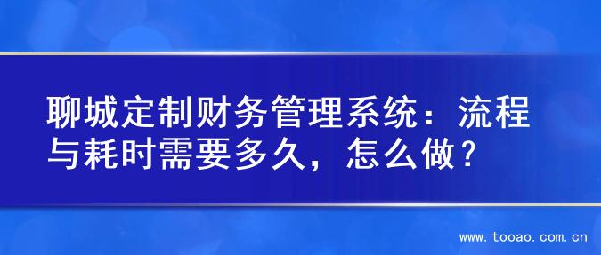 聊城定制财务管理系统：流程与耗时需要多久，怎么做？