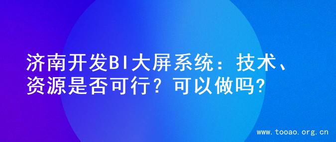 济南开发BI大屏系统：技术、资源是否可行？可以做吗?