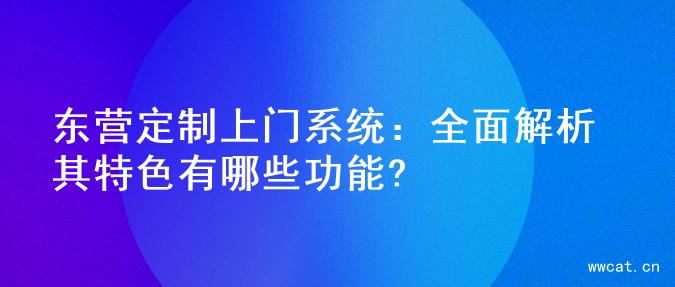 东营定制上门系统：全面解析其特色有哪些功能?