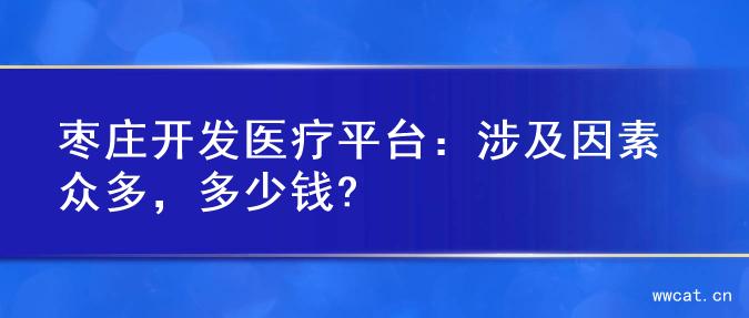 枣庄开发医疗平台：涉及因素众多，多少钱?