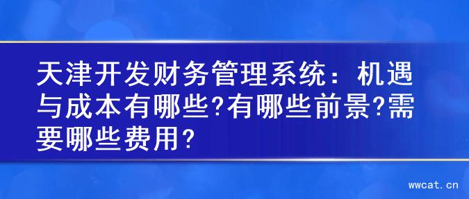 天津开发财务管理系统：机遇与成本有哪些?有哪些前景?需要哪些费用?