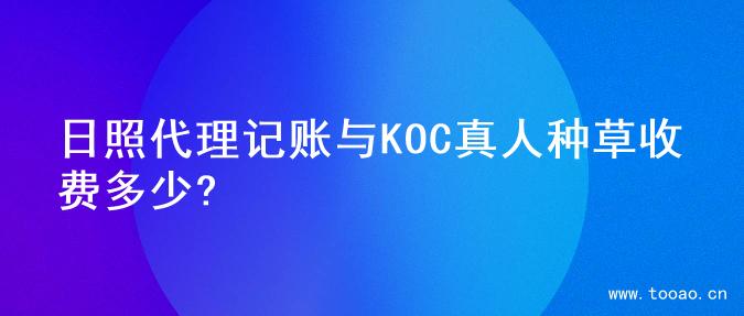 日照代理记账与KOC真人种草收费多少?
