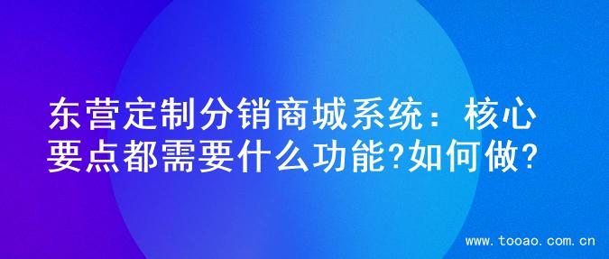 东营定制分销商城系统：核心要点都需要什么功能?如何做?