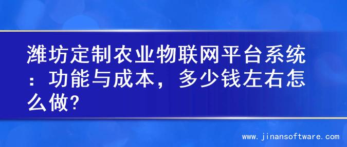 潍坊定制农业物联网平台系统：功能与成本，多少钱左右怎么做?