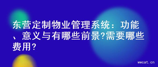 东营定制物业管理系统：功能、意义与有哪些前景?需要哪些费用?