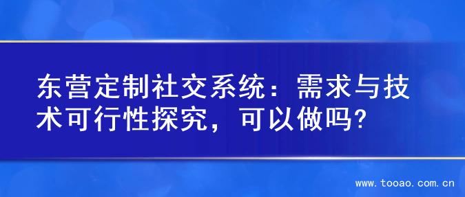 东营定制社交系统：需求与技术可行性探究，可以做吗?