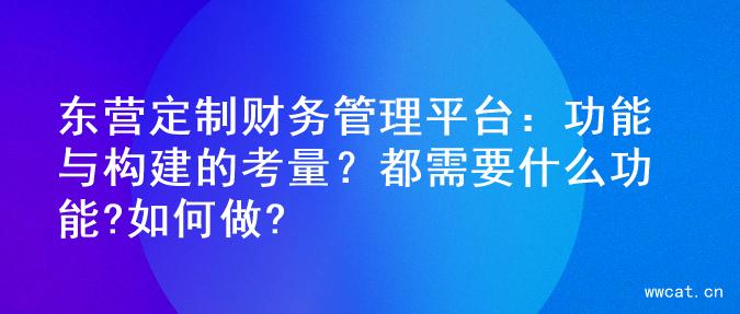 东营定制财务管理平台：功能与构建的考量？都需要什么功能?如何做?