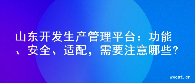 山东开发生产管理平台：功能、安全、适配，需要注意哪些?