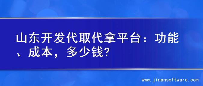 山东开发代取代拿平台：功能、成本，多少钱?