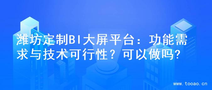 潍坊定制BI大屏平台：功能需求与技术可行性？可以做吗?