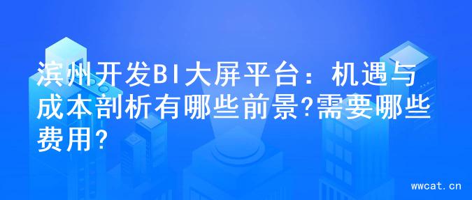 滨州开发BI大屏平台：机遇与成本剖析有哪些前景?需要哪些费用?