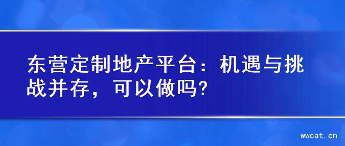 东营定制地产平台：机遇与挑战并存，可以做吗?
