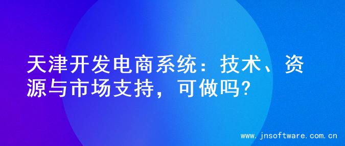 天津开发电商系统：技术、资源与市场支持，可做吗?