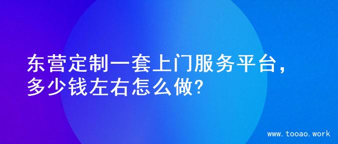 东营定制一套上门服务平台，多少钱左右怎么做?