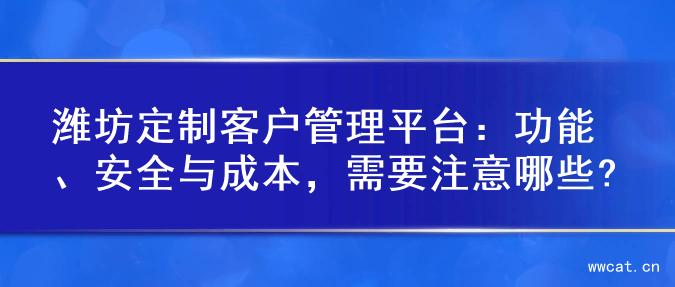 潍坊定制客户管理平台：功能、安全与成本，需要注意哪些?