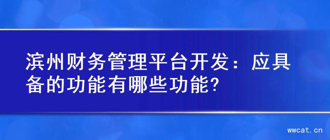 滨州财务管理平台开发：应具备的功能有哪些功能?