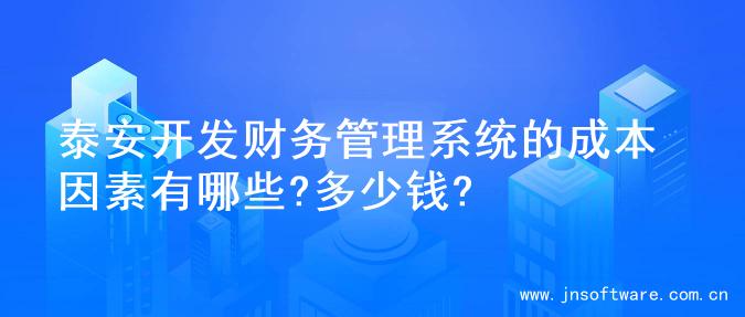 泰安开发财务管理系统的成本因素有哪些?多少钱?