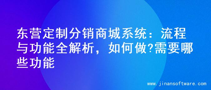 东营定制分销商城系统：流程与功能全解析，如何做?需要哪些功能