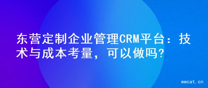 东营定制企业管理CRM平台：技术与成本考量，可以做吗?
