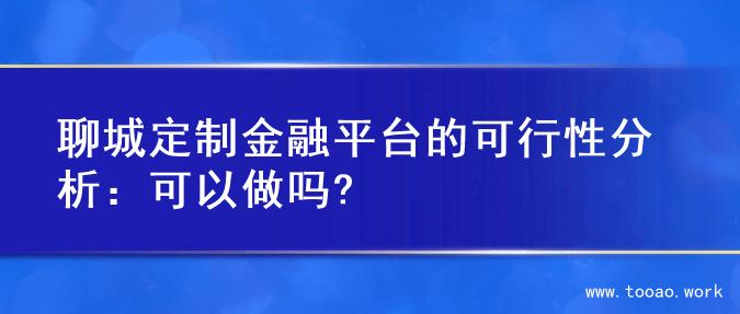 聊城定制金融平台的可行性分析：可以做吗?