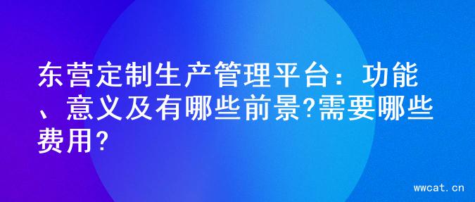 东营定制生产管理平台：功能、意义及有哪些前景?需要哪些费用?