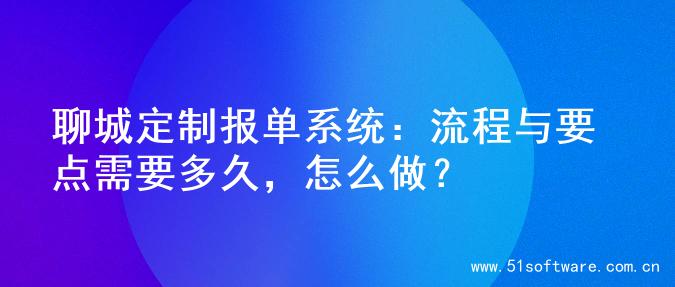 聊城定制报单系统：流程与要点需要多久，怎么做？