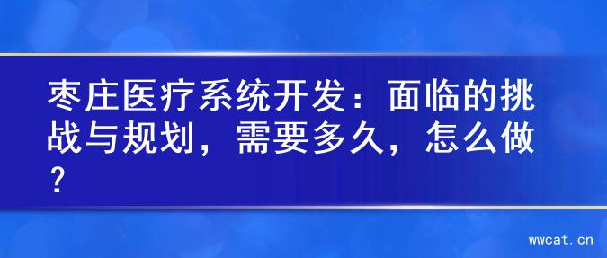 枣庄医疗系统开发：面临的挑战与规划，需要多久，怎么做？