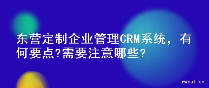 东营定制企业管理CRM系统，有何要点?需要注意哪些?