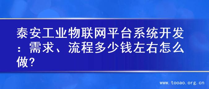 泰安工业物联网平台系统开发：需求、流程多少钱左右怎么做?