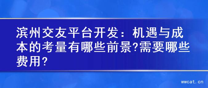 滨州交友平台开发：机遇与成本的考量有哪些前景?需要哪些费用?