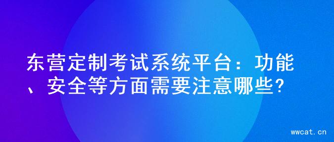 东营定制考试系统平台：功能、安全等方面需要注意哪些?