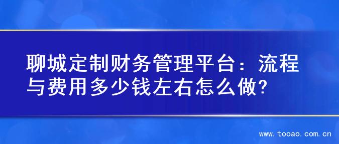 聊城定制财务管理平台：流程与费用多少钱左右怎么做?