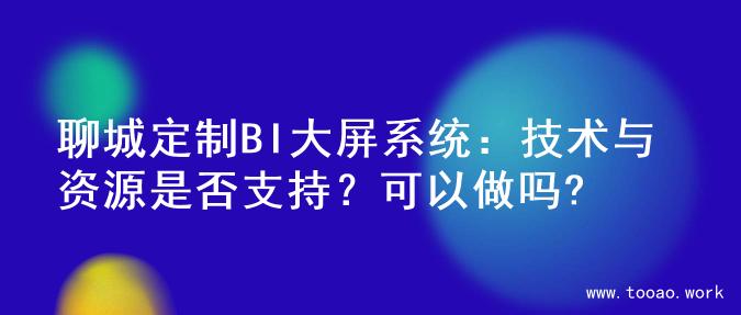 聊城定制BI大屏系统：技术与资源是否支持？可以做吗?