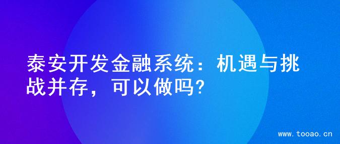 泰安开发金融系统：机遇与挑战并存，可以做吗?