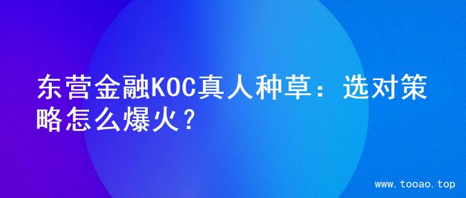东营金融KOC真人种草：选对策略怎么爆火？