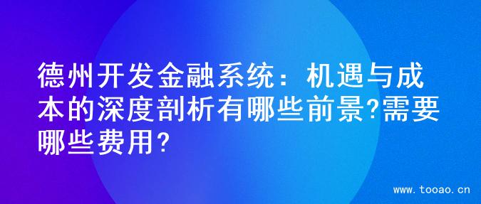 德州开发金融系统：机遇与成本的深度剖析有哪些前景?需要哪些费用?