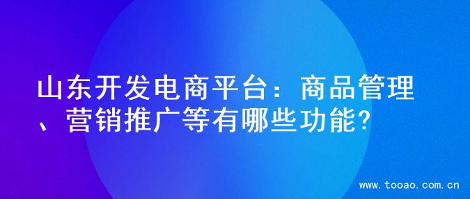 山东开发电商平台：商品管理、营销推广等有哪些功能?
